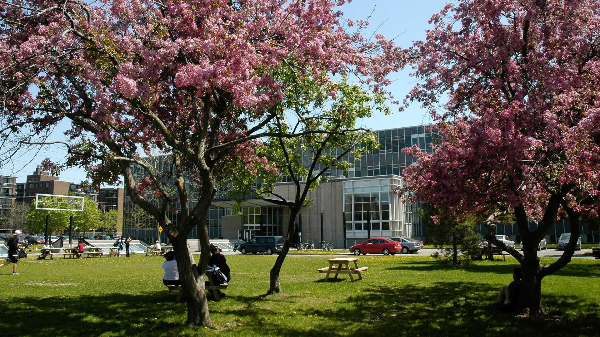 College De Bois De Boulogne